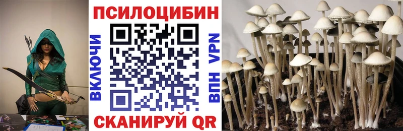 MEGA онион  Клин  Псилоцибиновые грибы прущие грибы 