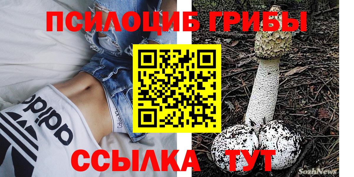 Галлюциногенные грибы Psilocybe  Вход с VPN  Клин 